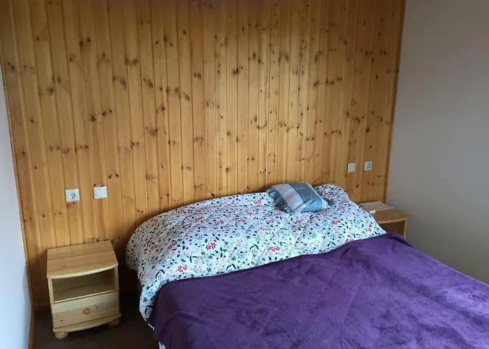 Daire Böjti Pince Tormafolde