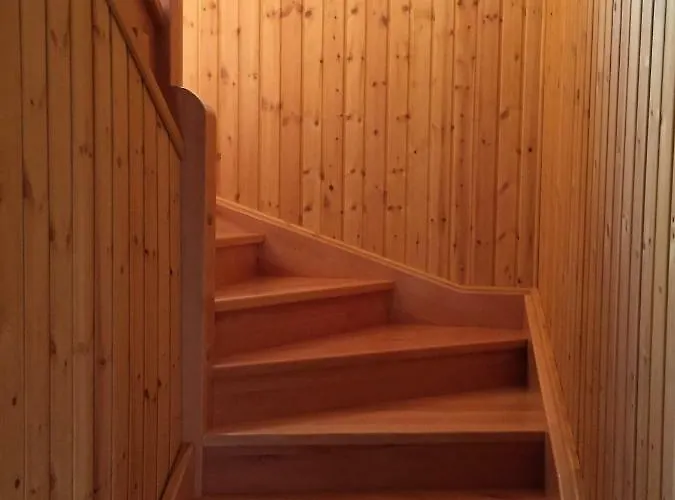 Daire Böjti Pince