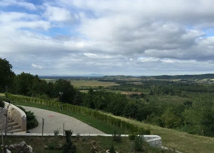 Daire Böjti Pince *
